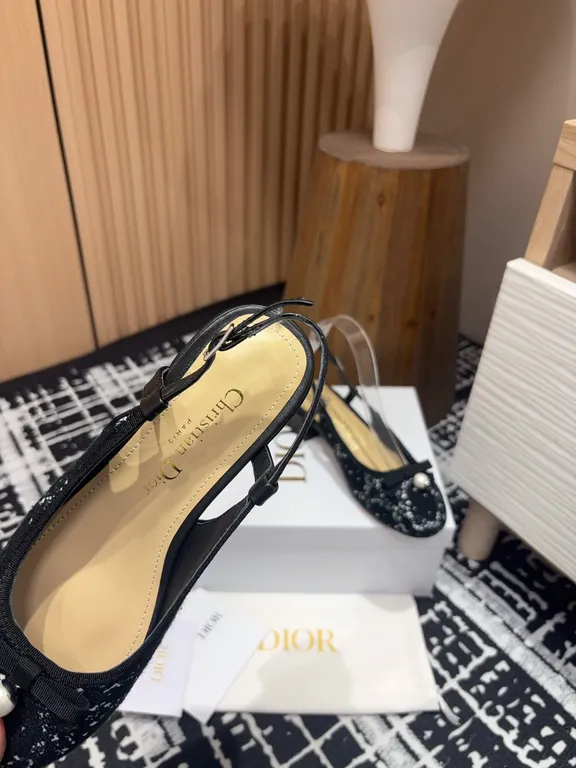 Dior Shoe 